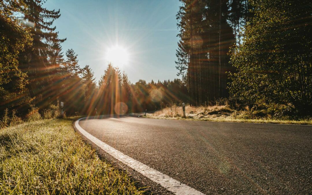 A curving road bordered by grass and tall trees is lit by the warm - https://www.crescenttowingsc.com/